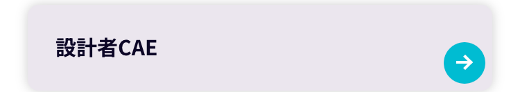 設計者 CAE